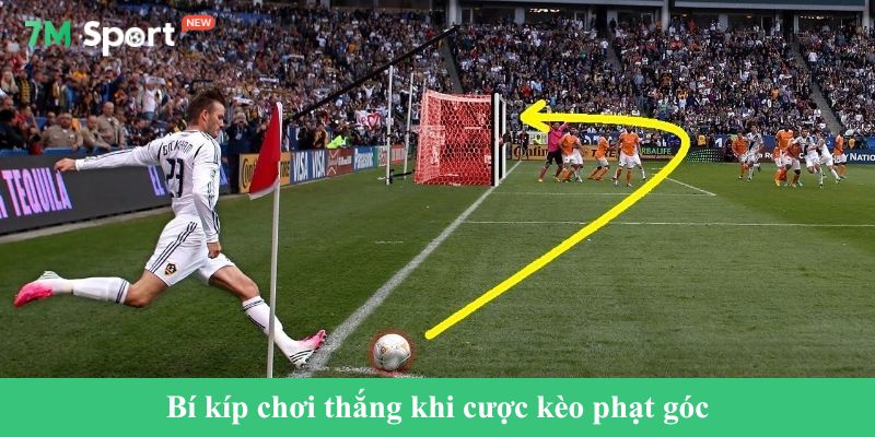 Bí kíp chơi thắng khi cược kèo phạt góc