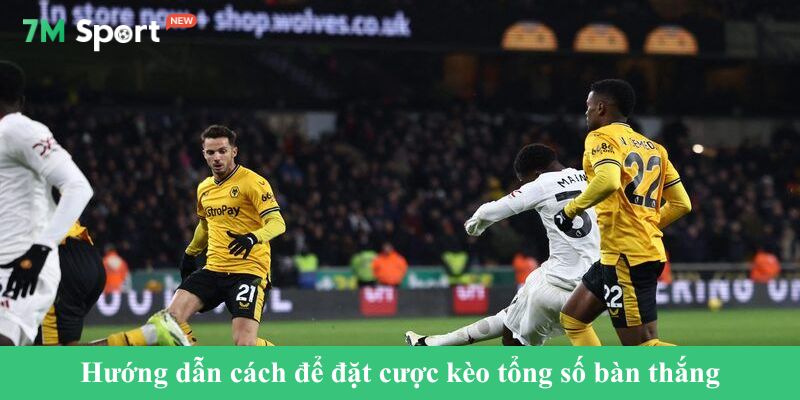 Hướng dẫn cách để đặt cược kèo tổng số bàn thắng